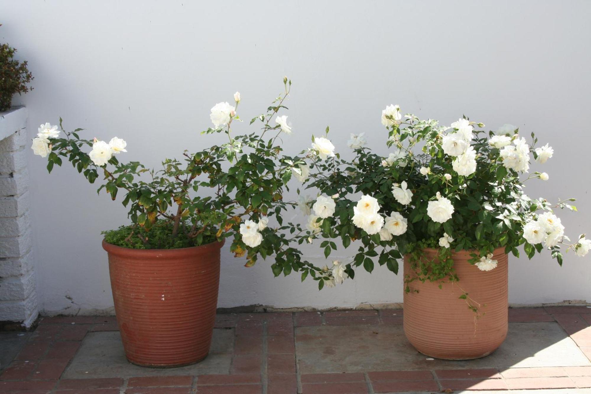 Paternoster Place Room photo